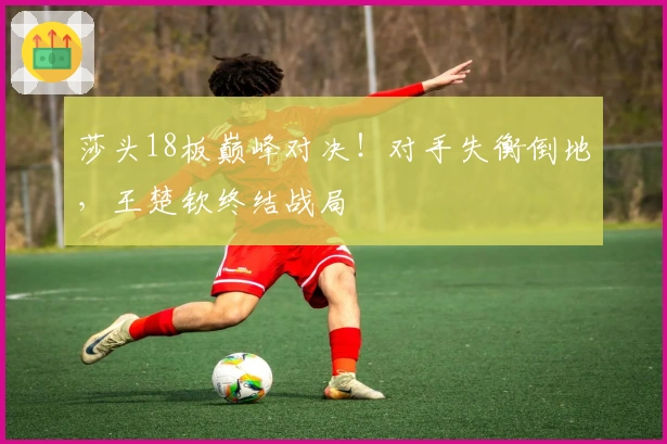 莎头18板巅峰对决！对手失衡倒地，王楚钦终结战局